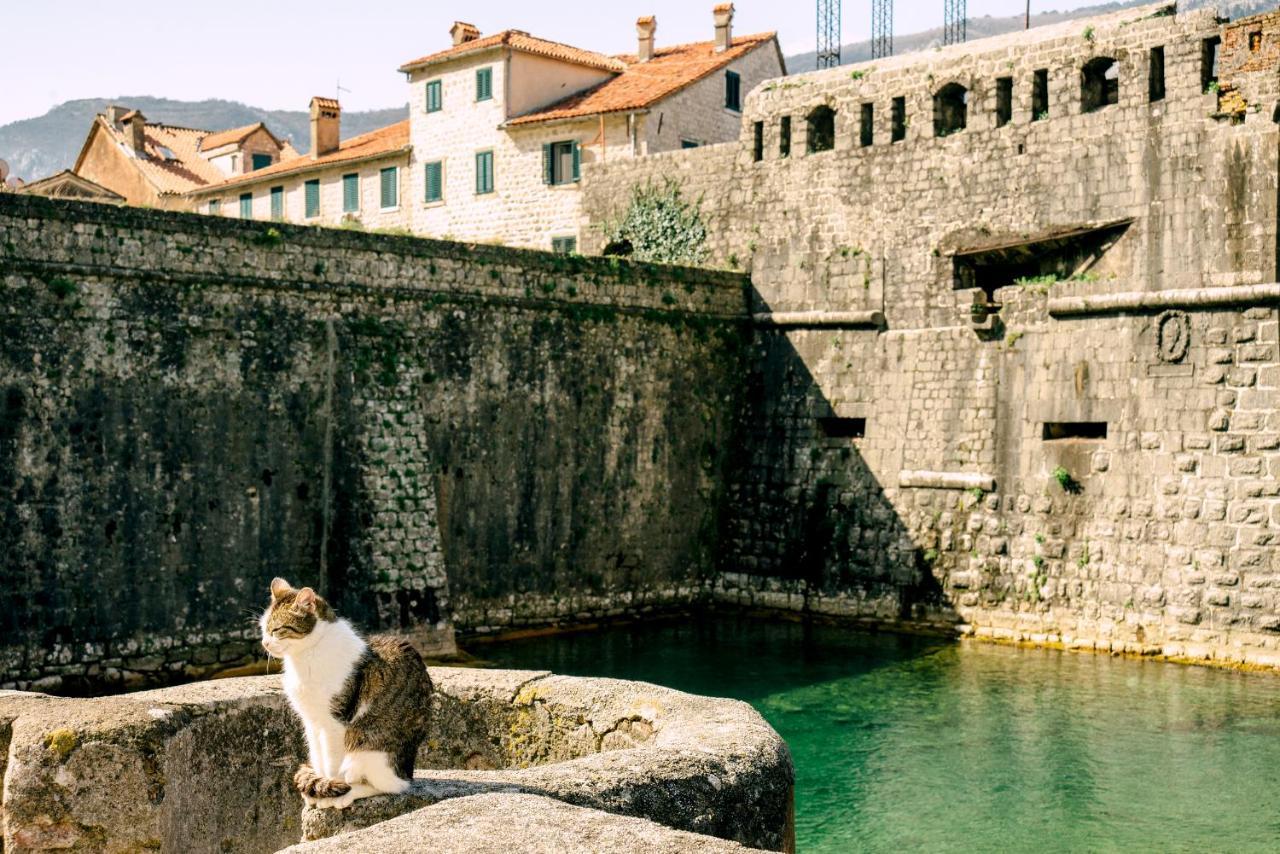 D & Sons Apartments Kotor Eksteriør billede